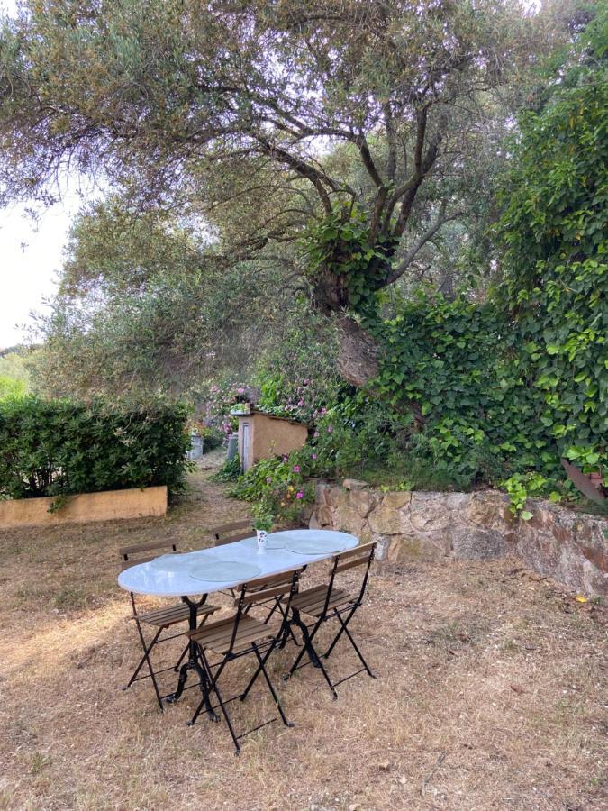 Seaview Garden Villa L'Ile-Rousse  Luaran gambar